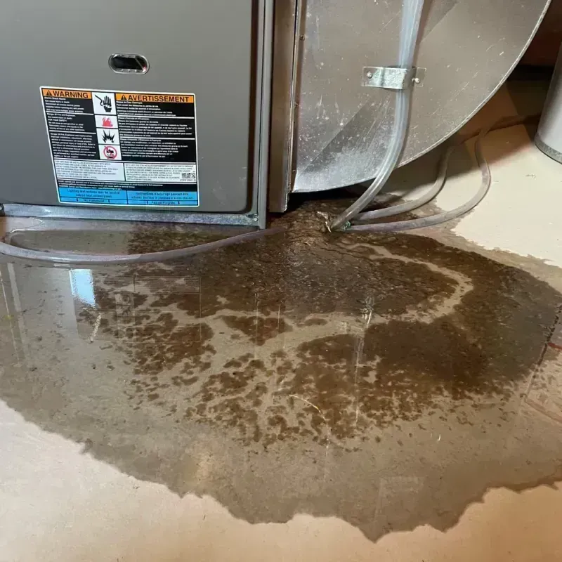 Appliance Leak Cleanup in Hillsboro, OH